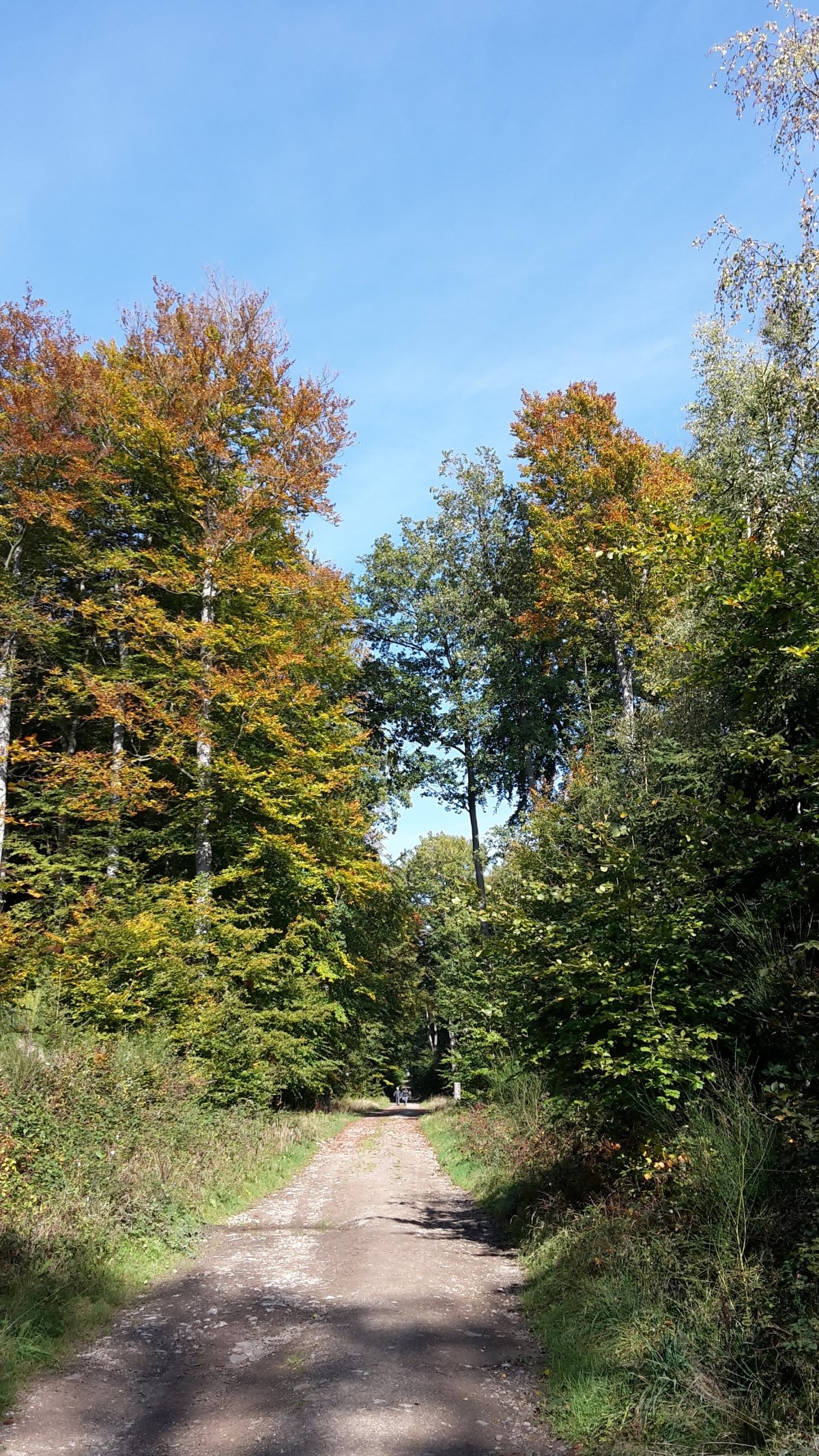 20151011_131255 (c) ÖB St. Martin