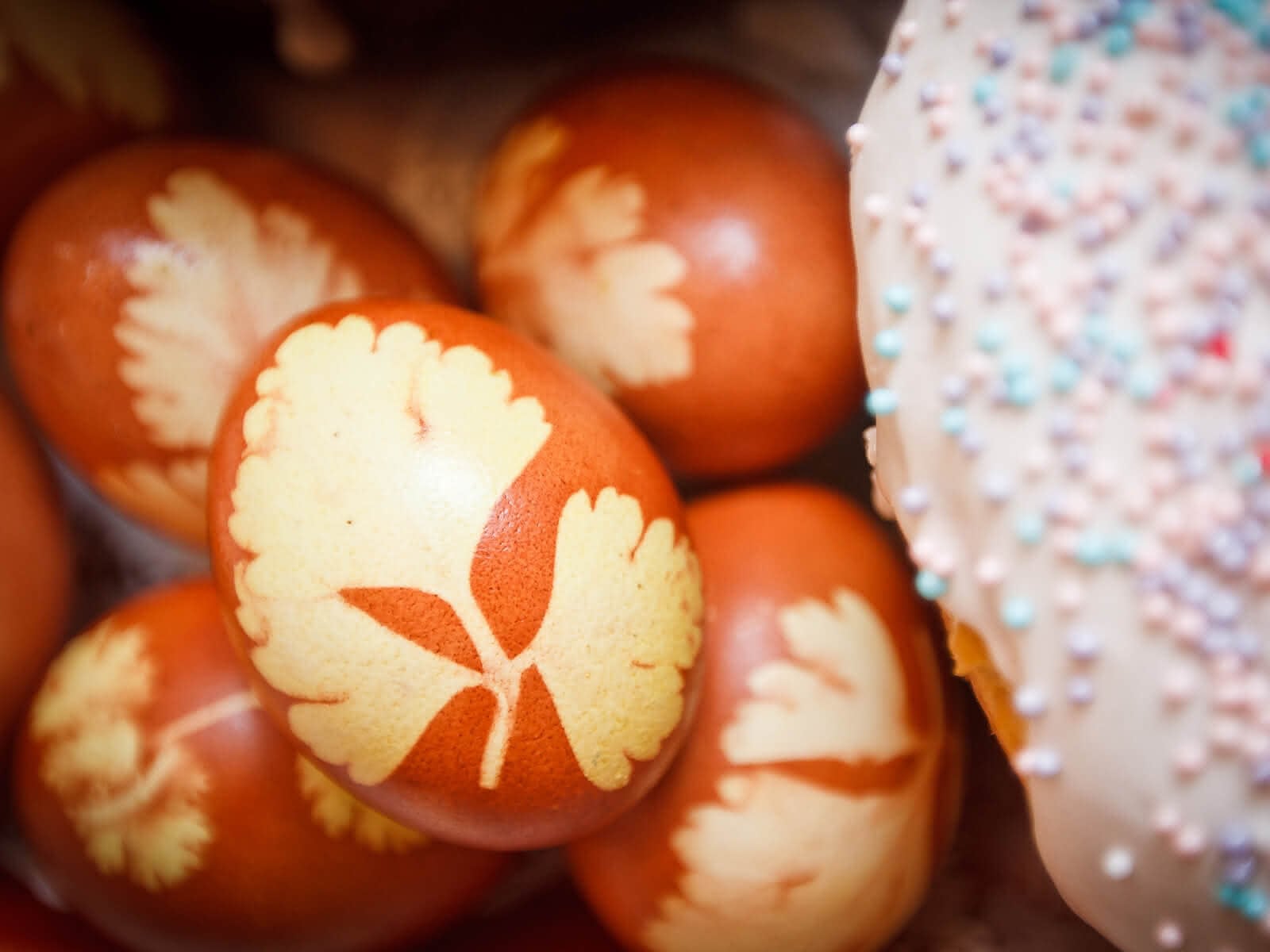 (c) CC0 1.0 - Public Domain (von unsplash.com)